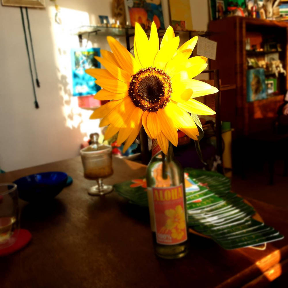 Eine leere Aloha-Limonaden-Flasche mit einer Sonnenblume 